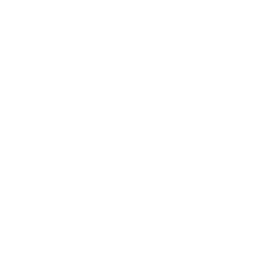 TikTok Icon